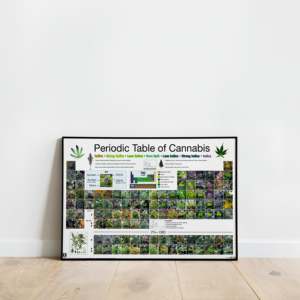 Variétés de fibres de chanvre Tableau périodique des sous-variations de cannabis - Product Image 5