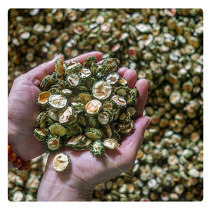 CALIDAD SUPERIOR DE EXPORTACIÓN-MELÓN AMARGO SECO-Mejor precio-Natural y fresco - Product Image 6