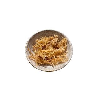 Polvo de musgo de Mar Irlandés de mayor calibre para carragenina en polvo alimenticio - Product Image 2