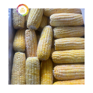 Grains de maïs sucré surgelés de qualité supérieure, sans conservateurs, sans additifs, meilleure vente, maïs surgelé IQF coupé en deux - Product Image 2