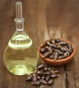 Minyak kastor organik kualitas terbaik untuk minyak perawatan kulit dan rambut tersedia di kualitas terbaik dari eksportir India