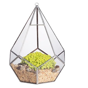 Plantes de taille personnalisée pour terrarium hexagonal en verre de salon Terrarium en verre de haute qualité ou vase en verre de forme géométrique - Product Image 3