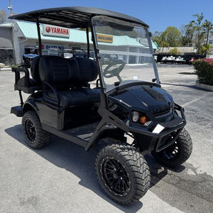 Carrito de Golf Todoterreno 2025 Nuevo, Express 4 Gas, Negro, 4 Pasajeros, 401cc, con Transmisión CVT, 19 mph - Product Image 4