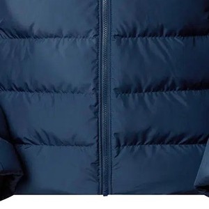 OEM ODM fabricants personnalisé avant hommes entraînement actif pull cordon de serrage sweats à capuche respirant coupe-vent hiver intelligent décontracté - Product Image 2