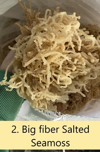 มอสทะเลเค็มแห้งจากธรรมชาติการเก็บเกี่ยวสาหร่ายโนริตากแห้งผลิตจากธรรมชาติผลิตภัณฑ์ดูแลผิวจากเวียดนามและใช้เป็นอาหาร - Product Image 5