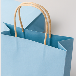 ถุงของขวัญกระดาษพิมพ์โลโก้สั่งทำพิเศษสำหรับเครื่องประดับ ของเล่น และบรรจุภัณฑ์ค้าปลีกพรีเมียม ถุงช้อปปิ้งกระดาษพิมพ์ลายสั่งทำระดับไฮเอนด์ - Product Image 5