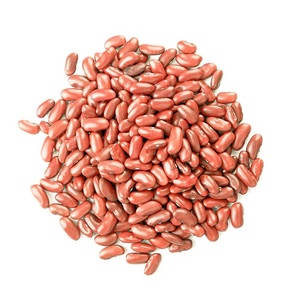 Frijoles Rojos Secos Enteros, Cultivar Común Procesado AD, a Granel para Preparación de Alimentos Institucionales - Product Image 2