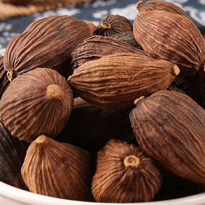 Grande quantité de cardamome séchée de haute qualité du Vietnam produit agricole - Product Image 3
