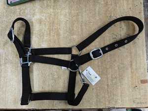 Custom Logo Equestrian Headstall Nylon Horse Racing <b>Halter</b> Comfortable Head Collar in All Colors Genuine Horse Genuine <b>Halter</b> - Product Image 2