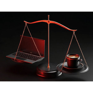 Outils d'équilibre entre vie professionnelle et vie personnelle pour les esprits ambitieux, pour atteindre le succès et l'équilibre - Product Image 1