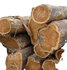 Bûches de bois de hêtre à bas prix de Roumanie faisant du bois