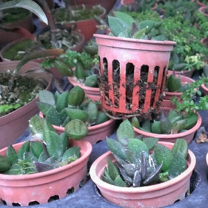 Черный цвет гидропонная сетчатая чашка для выращивания растений, пластиковые садовые контейнеры для выращивания орхидей и искусственных цветов - Product Image 6