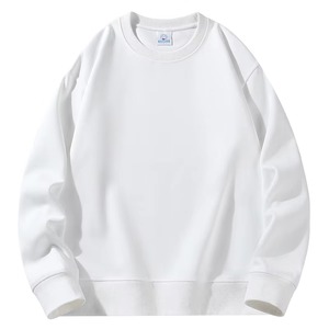 Personalizado Unisex de gran tamaño 100% sudaderas con capucha de algodón en blanco liso para hombre 500gsm Tallas grandes sudaderas con capucha con bordado logotipo impreso - Product Image 5