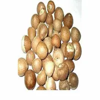 Bulk Medical Grade Betel Nuts, Areca Palm