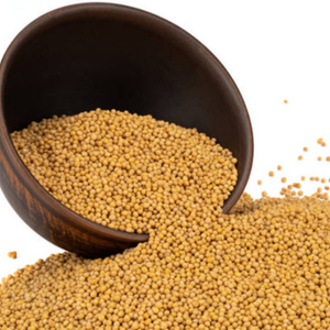 Épices de moutarde jaune de qualité supérieure de haute qualité AD graines de moutarde entières séchées crues vente directe d'usine acheter des graines de moutarde - Product Image 1