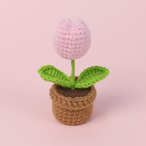 Customizable Handmade Crochet Plant Potted Doll Ornaments for School, Graduation, Teacher's Day, Thanksgiving Gifts - Product Image 4