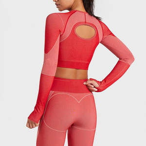 Leggings athlétiques taille haute et vêtements actifs motif solide Logo personnalisé ensemble de yoga 2 pièces de grande taille pour les sports de plein air Fitness - Product Image 4