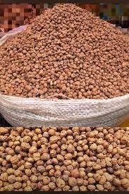 Nueces de Tigre Secas Naturales Orgánicas de Alta Calidad Disponibles para Exportación - Product Image 3