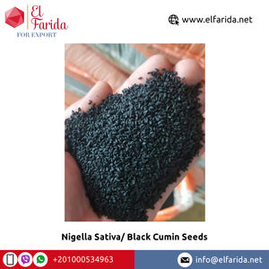 Graines de nigelle noire sativa naturelles de haute pureté Type de traitement brut séché Origine égyptienne Qualité standard Fournisseur d'origine fourni - Product Image 2