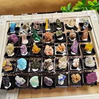 Boîte de spécimens de cristaux naturels en gros : rubis, améthyste, corail, agate druzy, azurite, malachite, pyrite, tourmaline – Cadeau idéal