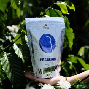 เมล็ดกาแฟคั่ว500กรัมถั่วพีเบอร์รี่ culi เตาย่างขนาดกลางแบรนด์ honee แข็งแกร่งทรงพลังรสชาติสำหรับเช้าที่ใช้งานโดยตรงจากเวียดนาม - Product Image 6