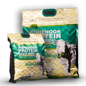 หญ้าโปรตีน อาหารสัตว์ สำหรับเพิ่มผลผลิตน้ำนมและเนื้อสัตว์ - Product Image 3