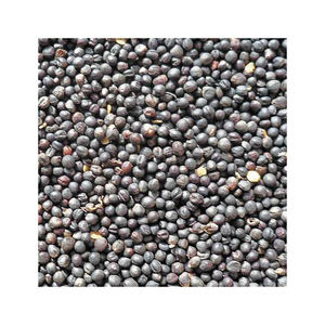 เรพซีดลดราคาจำนวนมากเหมาะสำหรับอุตสาหกรรมสกัดน้ำมัน - Product Image 1