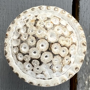 Arandela de tuerca de níquel y tornillo Accesorios completos Perilla decorativa de metal de hierro para decoración del hogar - Product Image 1