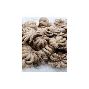 Se Vende Pulpo Bebé Congelado Entero para Comercio, Disponible para Demanda Mayorista Competitiva - Product Image 2