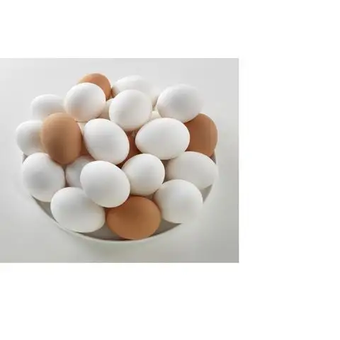 بيض دجاج بني وأبيض / بيض طعام دجاج طازج عالي الجودة