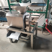 Voedselveilige roestvrijstalen enkelkanaals pulpermotor, hoogrendements precisie zaadverwijderingsmachine voor tomatenpuree