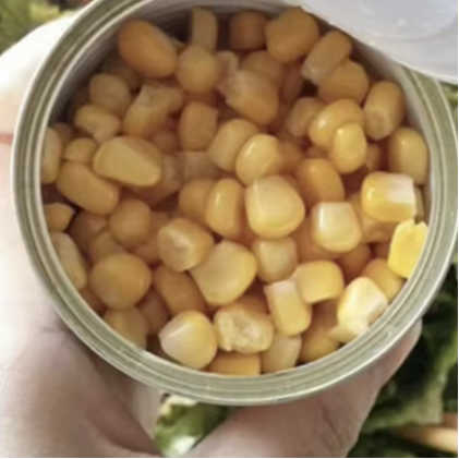 Sweet Corn Delight Farm to Can to You, Full of Natural Flavor