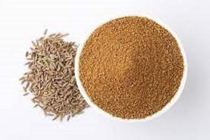 Polvo de Extracto de Comino Negro Crudo AD Seco de Calidad al por Mayor 4:1 - Product Image 6