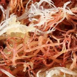 มอสโกลด์ทะเลตากแห้งกันแดดแบบพรีเมี่ยม | ส่งออกสินค้าจากเวียดนาม - Product Image 1