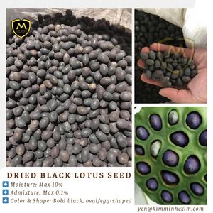 Wholesale DRIED BLACK LOTUS SEEDS from Vietnam -Jet Black & Affordable - Product Image 4