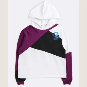 Haute qualité 500gsm poids lourd pull à capuche hommes pull pull surdimensionné Logo personnalisé 100% coton hommes femmes pull à capuche - Product Image 5
