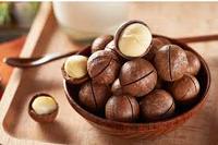 Precio competitivo estándar internacional VENTA SUPERIOR Suministro de Vietnam KERNEL DE MACADAMIA ASADO Saludable Suministro a granel