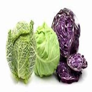 COMPRE Verduras crucíferas Repollo fresco para uso culinario e industrial a precios a granel - Product Image 3