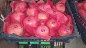 Doking Sản phẩm mới hương vị tươi nóng bán lựu hương vị dâu tây pha lê pomogranate để bán - Product Image 6