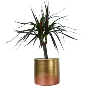 กระถางโลหะทรงกลมสำหรับตกแต่งบ้านและสวนกระถางต้นไม้โบราณแวววาว - Product Image 1