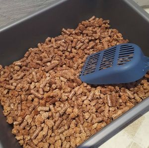 Pellets de Madera de Pino de Alta Calidad en Venta - Product Image 1