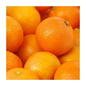 Naranjas Navel Valencia y Mandarinas Frescas de Temporada, Listas para Exportar - Product Image 3