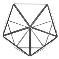 Terrarium en verre géométrique avec cadre noir pour la décoration moderne de la maison et du jardin, présentoir suspendu pour plantes succulentes, arrangement de plantes d'intérieur