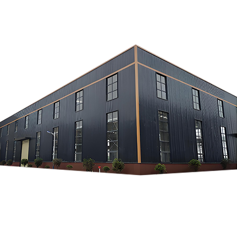 Modern Prefabricated Steel Structure Workshop for House or Warehouse/Shed/Hangar Building