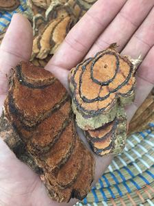 ยา Caulis Spatholobi - Product Image 5