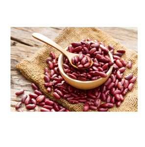 Meilleur en stock Haricots rouges secs économiques Pinto en vrac naturel avec aspect rouge moucheté Aliments transformés crus Prix bon marché - Product Image 6