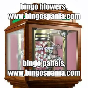 Producto bingo - Product Image 1