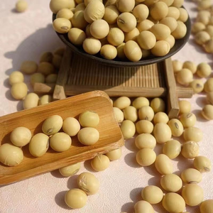Semillas de Soja Amarilla de Alta Calidad, 50% de Proteína, Origen Estadounidense, Secas, 25 kg, Ingredientes Saludables para Cocinar, 2 Años de Duración, Entrega Rápida - Product Image 4