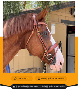 Nouveau design, vente en gros de produits pour chevaux, bride à mordiller en cuir du fabricant indien pliante - Product Image 5