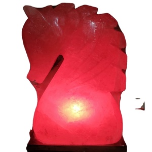 Horse Shape Carved <b>Salt</b> Lamp with Organic Material NSLT - Product Image 1